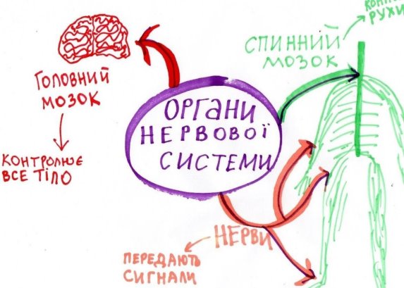Зображення, що містить текст, почерк, Дитяча творчість, малюнок  Автоматично згенерований опис